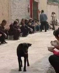 手臂的臂怎么组词(手臂的臂字组词怎么写)