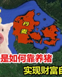 猪怎么叫怎么组词