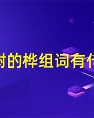桦字怎么组词(白桦的桦字怎么组词)