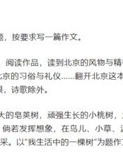 帮我放的作文怎么组词