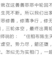 卜罗卜罗卜卜怎么组词