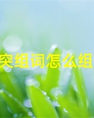 席怎么组词(席怎么组词组)