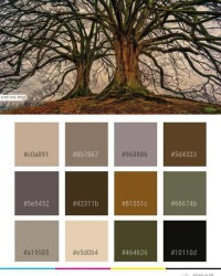 黄怎么组词(颜色)