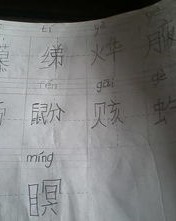 请求的怎么组词