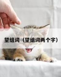 希望的望组词(希望的望怎么写怎么组词)