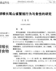 饲养的饲怎么组词