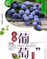 提子的缇怎么组词