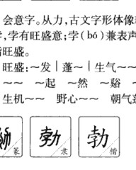 盏字拼音和组词(盏字拼音组词部首)