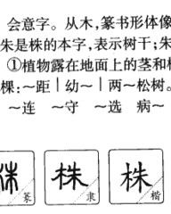株可以怎么组词(株怎么组词两个字的词语)
