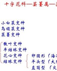 薹组词(薹组词和部首)