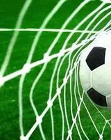 足球花的足怎么组词啊