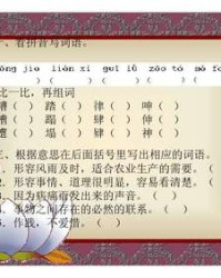 用律组词(律的组词怎么写)