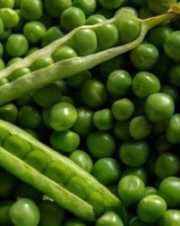 豌豆豆碗怎么组词