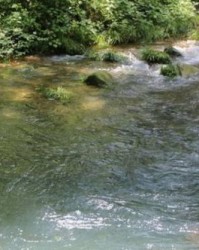 河流的小溪怎么组词