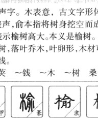 树干的干怎么组词(树干的干字怎么组词)