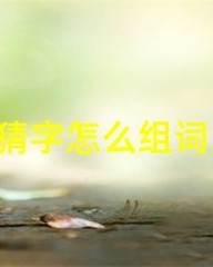 猜测的猜组词(猜测怎么组词造句)