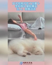 狗的屁怎么组词