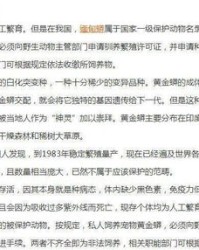 惊吓的惊惊怎么组词