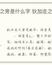 淡组词(淡组词怎么组词)