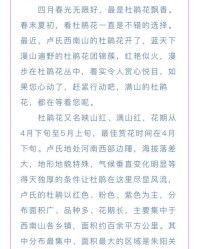 杜鹃的鹃然怎么组词