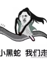 蛇怎么组词我表情悠哉