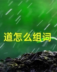 条怎么组词(调怎么组词)