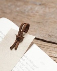 茅怎么组词(檐的组词是什么)