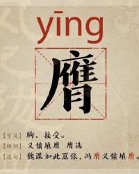 谍的组词(谍怎么组词和拼音怎么写)