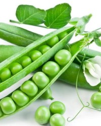 豌豆豆弯怎么组词