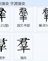 姓氏的姓能怎么组词