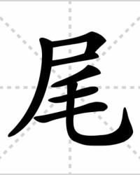尾巴的尾怎么组词