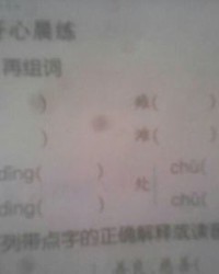 器怎么组词语(器怎么组词语和拼音怎么写)