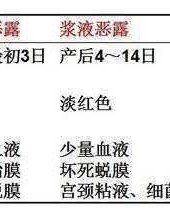 小肚腩的组词怎么写