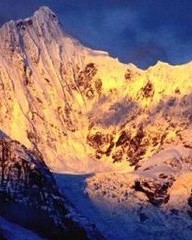 今字怎么组词(领字怎么组词)