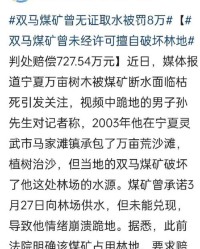 木怎么组词不是