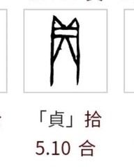 贞字组词(贞怎么组成语)