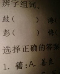 懦怎么组4个组词