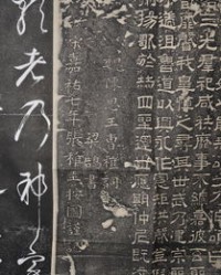 建设的建怎么组词