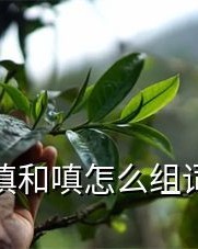 嗔怎么组词(嗔组词和拼音和部首)