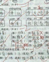 视怎么组词(珍表示重视怎么组词)