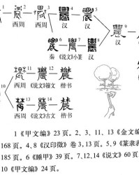 畴字同音怎么读和组词