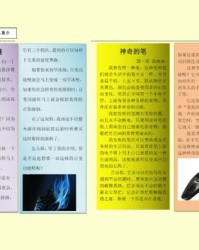 共同话话怎么组词