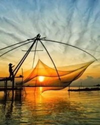 等鱼鱼怎么组词