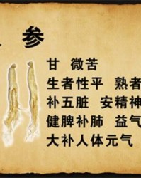 人参参怎么组词