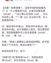 噼里啪啦的拼音怎么组词