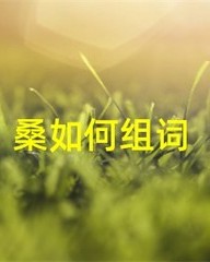 槐怎么组词(槐注音组词)