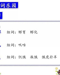 饥饿的饿怎么组词(饥饿的饿 组词)