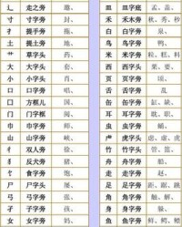 错换偏旁组词(错字换偏旁)