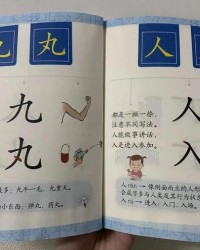 循的组词(循的组词和部首)