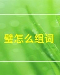 璧怎么组词(璧怎么组词语)